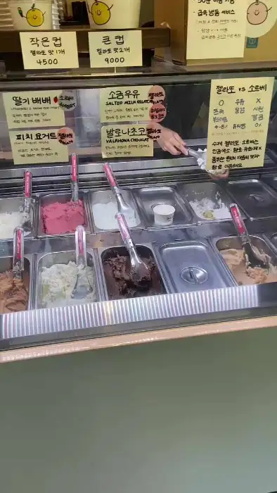 젤라또 쇼케이스