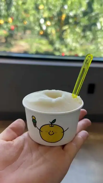 배배 젤라또