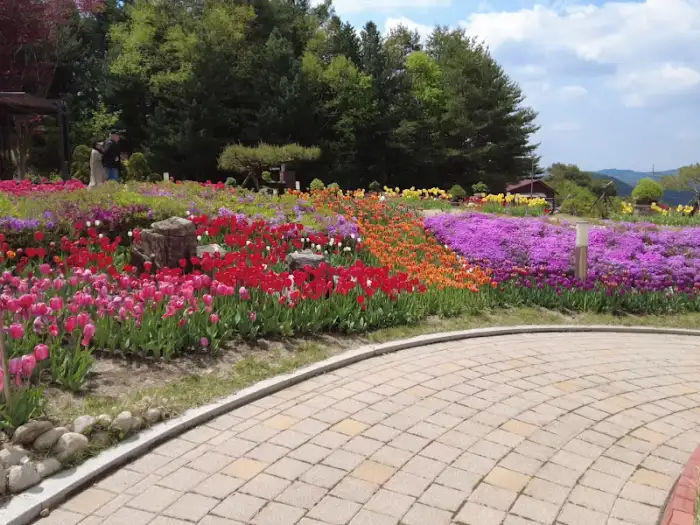 다채로운 색상의 튤립과 꽃들이 가득한 화단