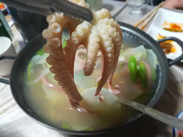 끓고 있는 연포탕 냄비에 담긴 신선한 낙지