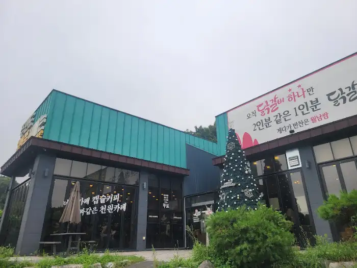 건물 및 크리스마스 트리