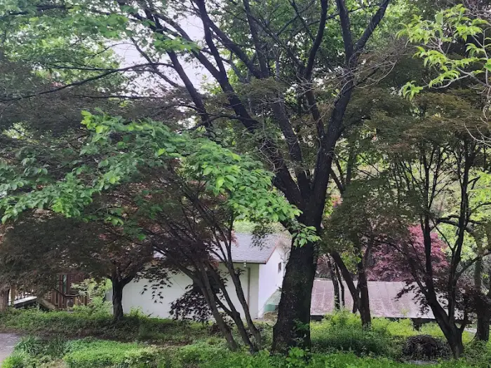잣이 박힌 젤리 디저트