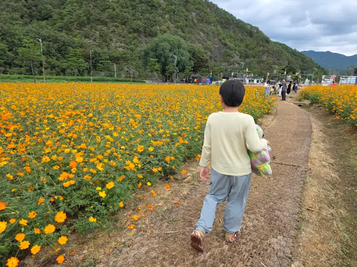 꽃길을 걷는 사람들의 모습