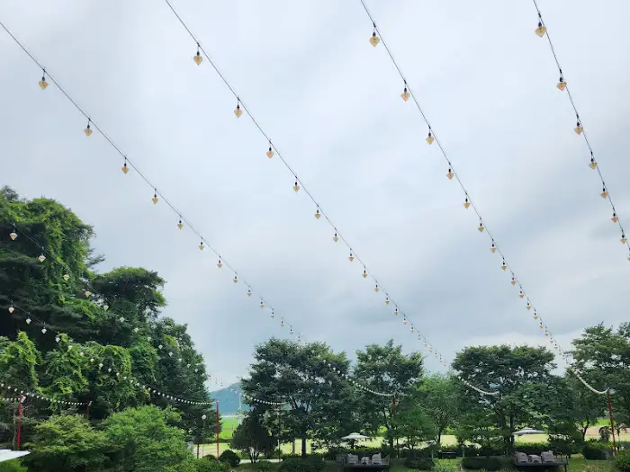 카페 주변의 나무와 야외 조명