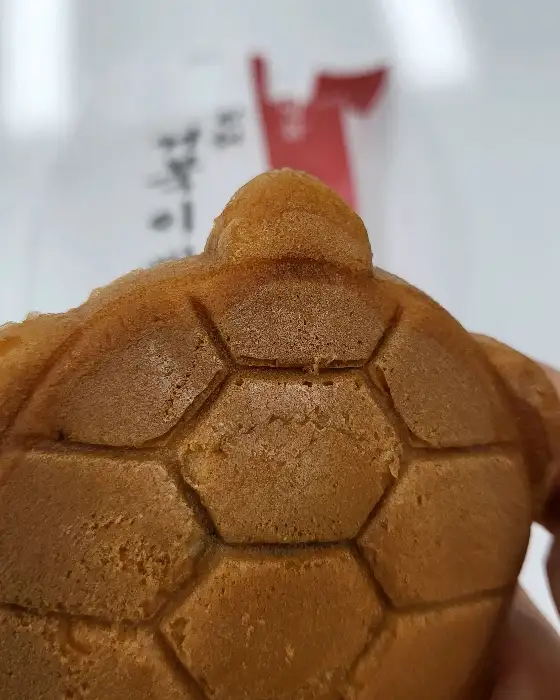거북이빵 근접 사진