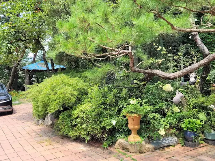 식당 앞 주차장과 주변의 울창한 나무들