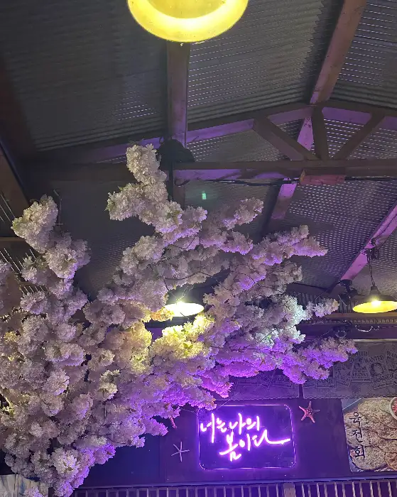 박고볼래 내부 벚꽃 장식과 조명