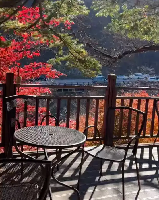 야외 테라스 좌석과 주변 풍경