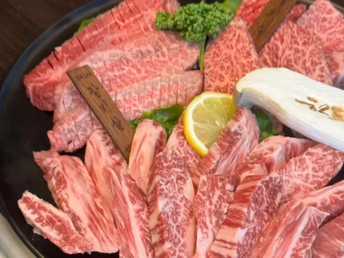 신선하고 마블링이 풍부한 한우 모둠