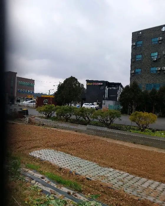 식당 내부 여러 테이블에 손님들이 앉아 식사 중인 모습.