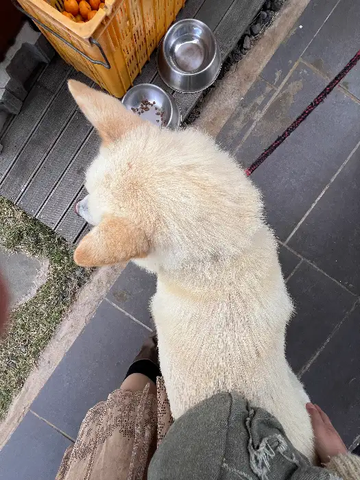 카메라를 들고 있는 사람의 모습, 테이블에는 음료와 포크가 놓여있다.