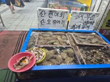 싱싱함이 눈앞에! 태안 해산물 식당, 여기가 끝판왕!