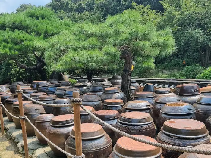전통적인 느낌의 장독대와 소나무