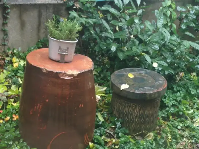 정원 모습