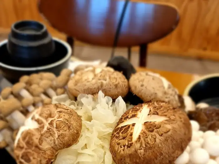 다양한 버섯 종류