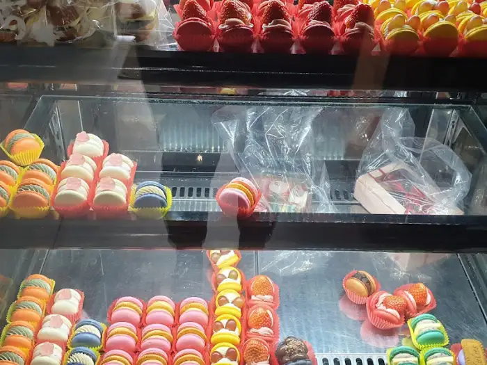 마카롱 쇼케이스