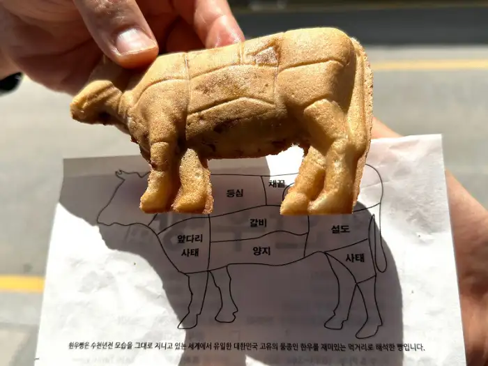 한우 빵과 소 부위별 설명지