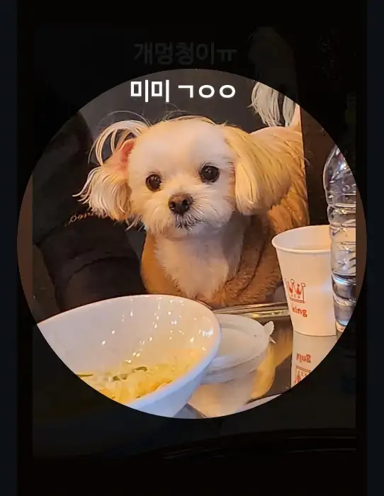 귀여운 강아지 모습