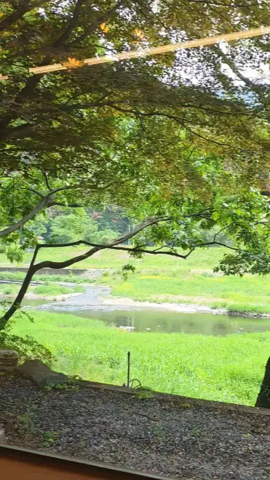강변 나무와 풀잎 사이로 보이는 풍경