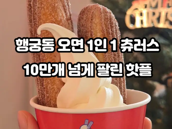 츄플러스 츄러스와 아이스크림