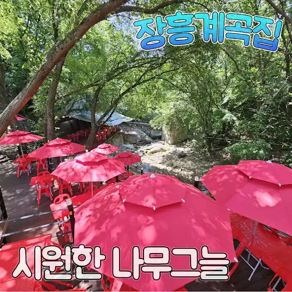 계곡 위 빨간 파라솔과 의자들