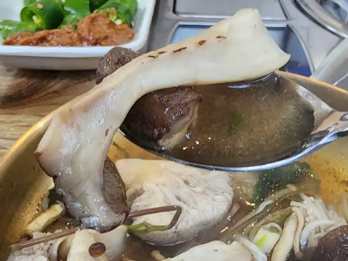 버섯 클로즈업