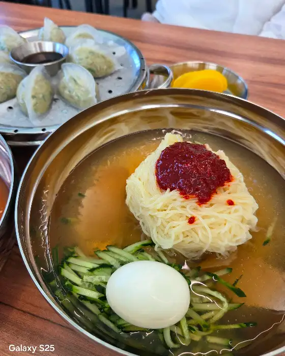 정갈하게 담긴 밀면 한 그릇과 곁들임 만두