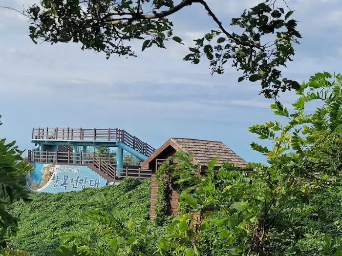 전망대와 산책로, 주변의 푸른 녹음