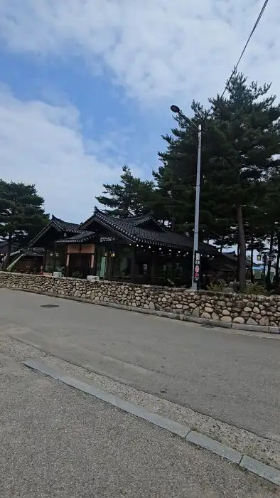 카페 설악산로 전경, 전통 한옥 건물과 주변의 소나무 숲이 어우러진 모습