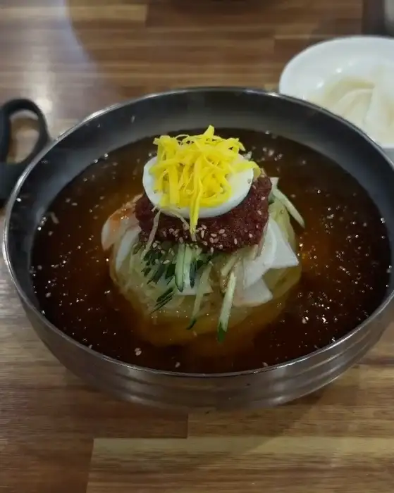 물밀면 근접샷, 고명이 돋보이는 모습