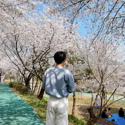 벚꽃이 만개한 아름다운 풍경과 함께 있는 사람