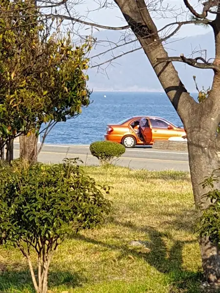 해안 도로 옆 주차된 주황색 차량