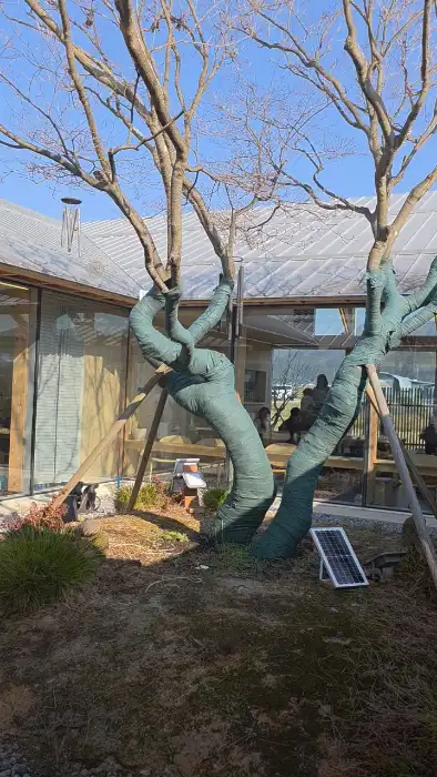 건물 외관과 주변 나무