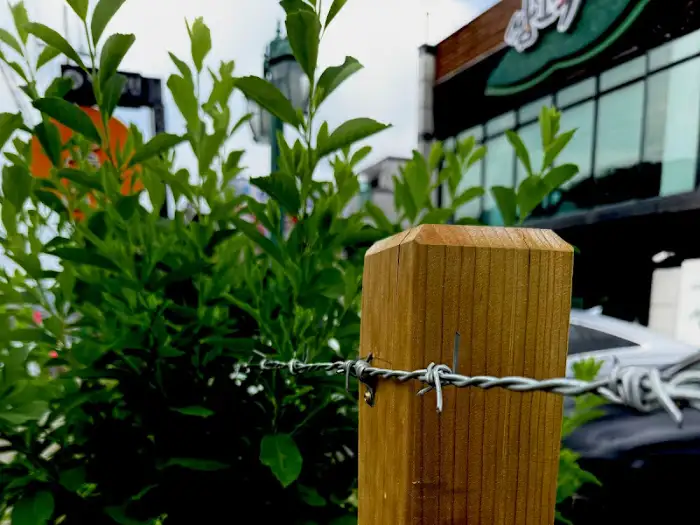 낡은 나무 울타리와 철조망, 무성한 녹음이 어우러진 모습
