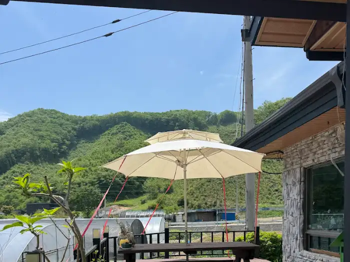 진안 수목원가든의 평화로운 정원 풍경과 산 전망