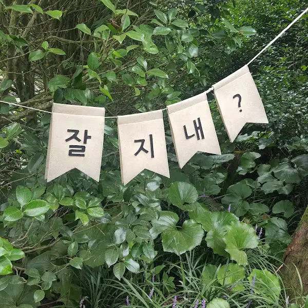 나무 사이에 걸린 '잘 지내?' 깃발