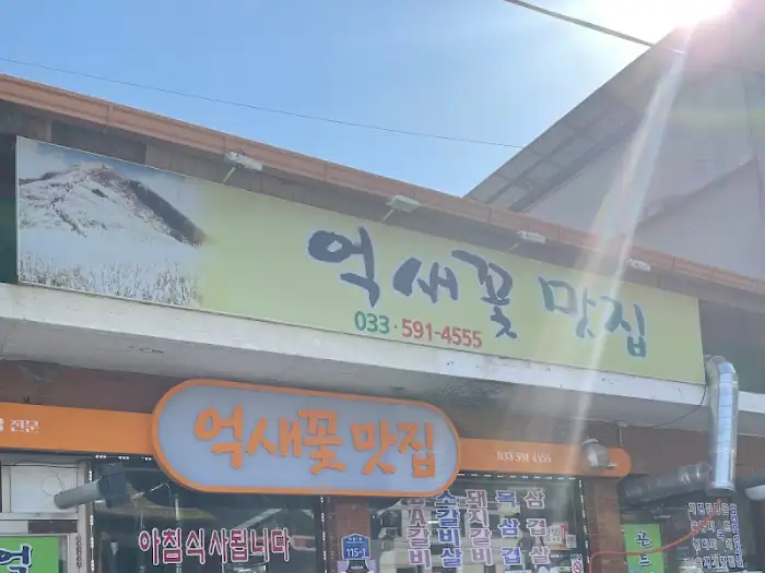 정선 억새꽃맛집 간판