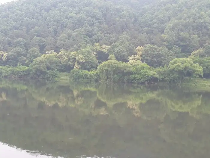 금강변에 위치한 마달피가든 전경