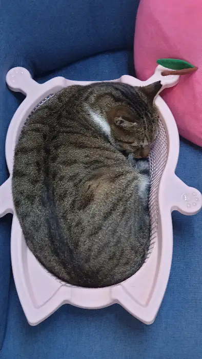 OK식육점식당의 따뜻한 분위기