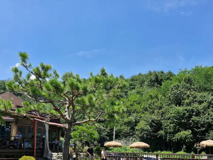 푸르른 나무와 탁 트인 하늘이 보이는 한채쭈꾸미 외부 풍경