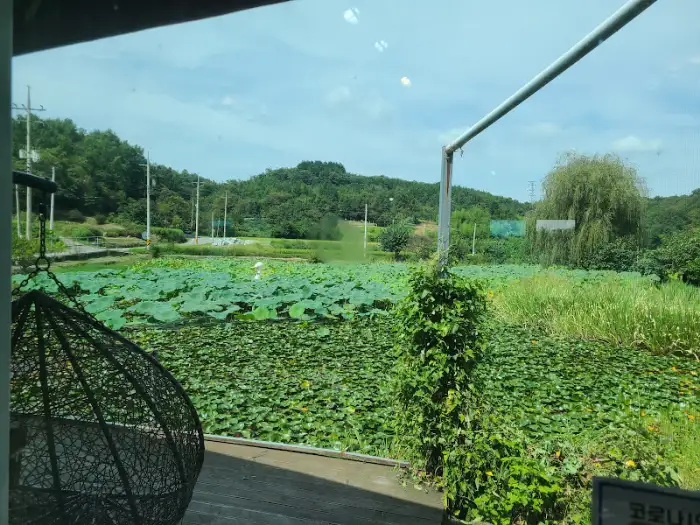 연꽃이 가득한 낚시터 풍경과 그 너머로 펼쳐진 산들