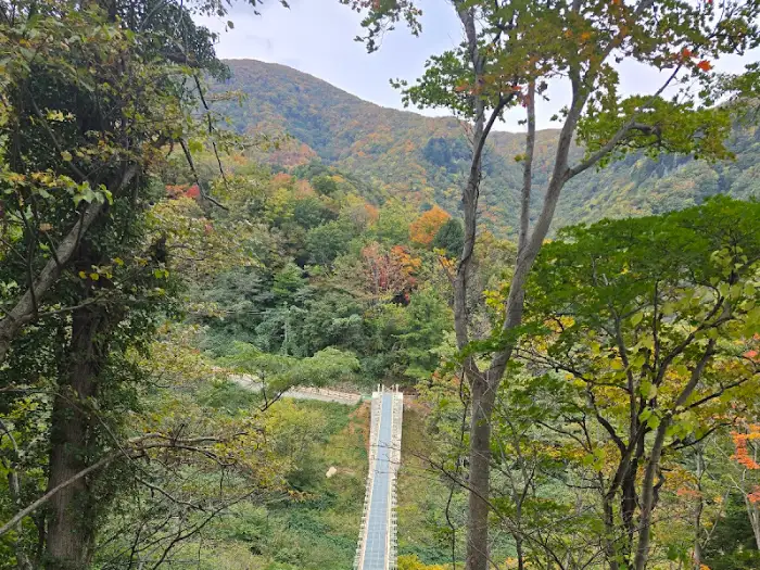 울릉도 숲과 계곡 풍경
